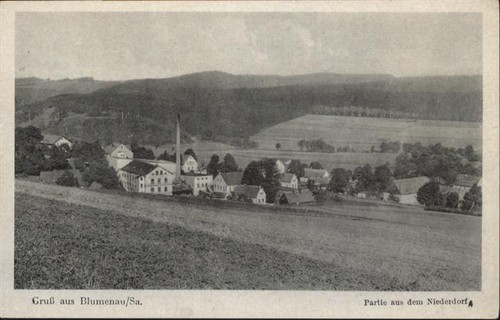 Blumenau olbernhau - blumenau,