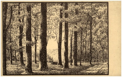 Olbernhau sachsen 1920 25 - olbernhau, ~1920/25